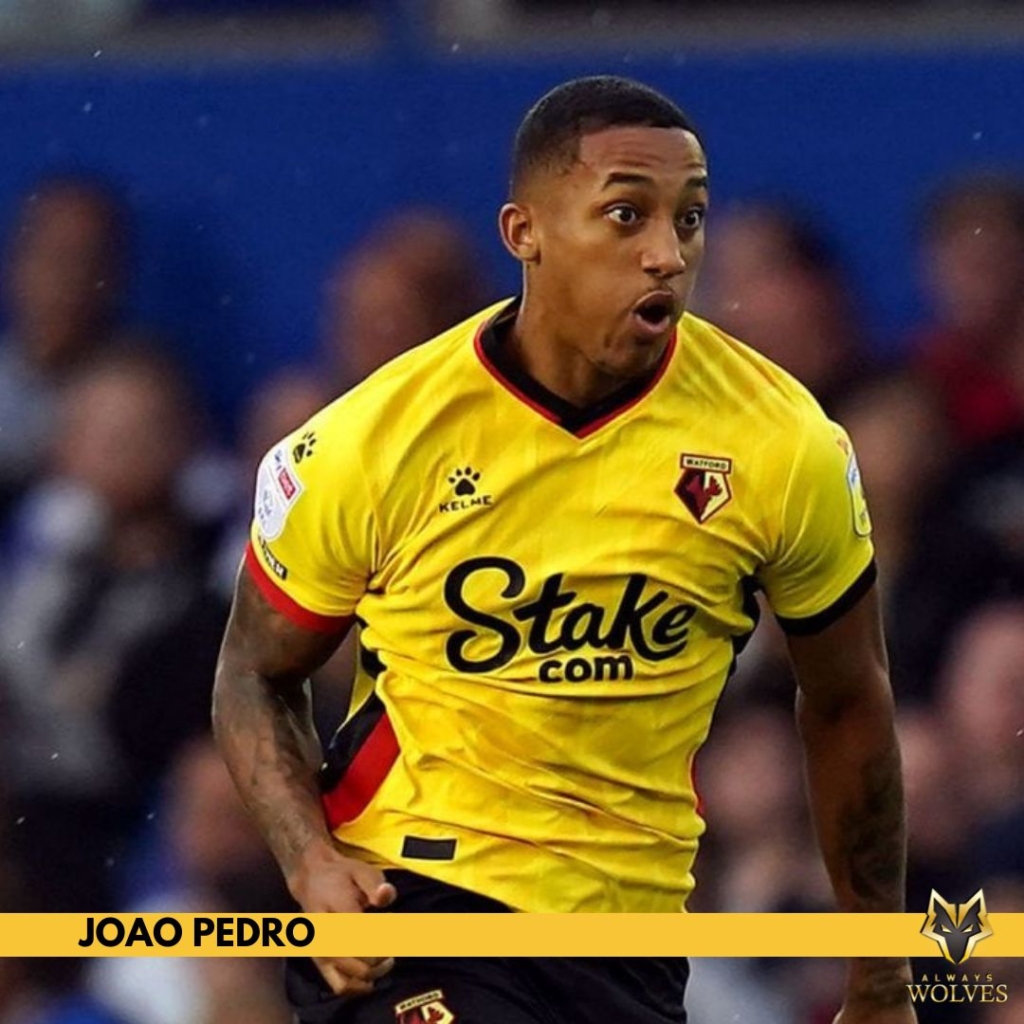 Wolves Transfer News Joao Pedro