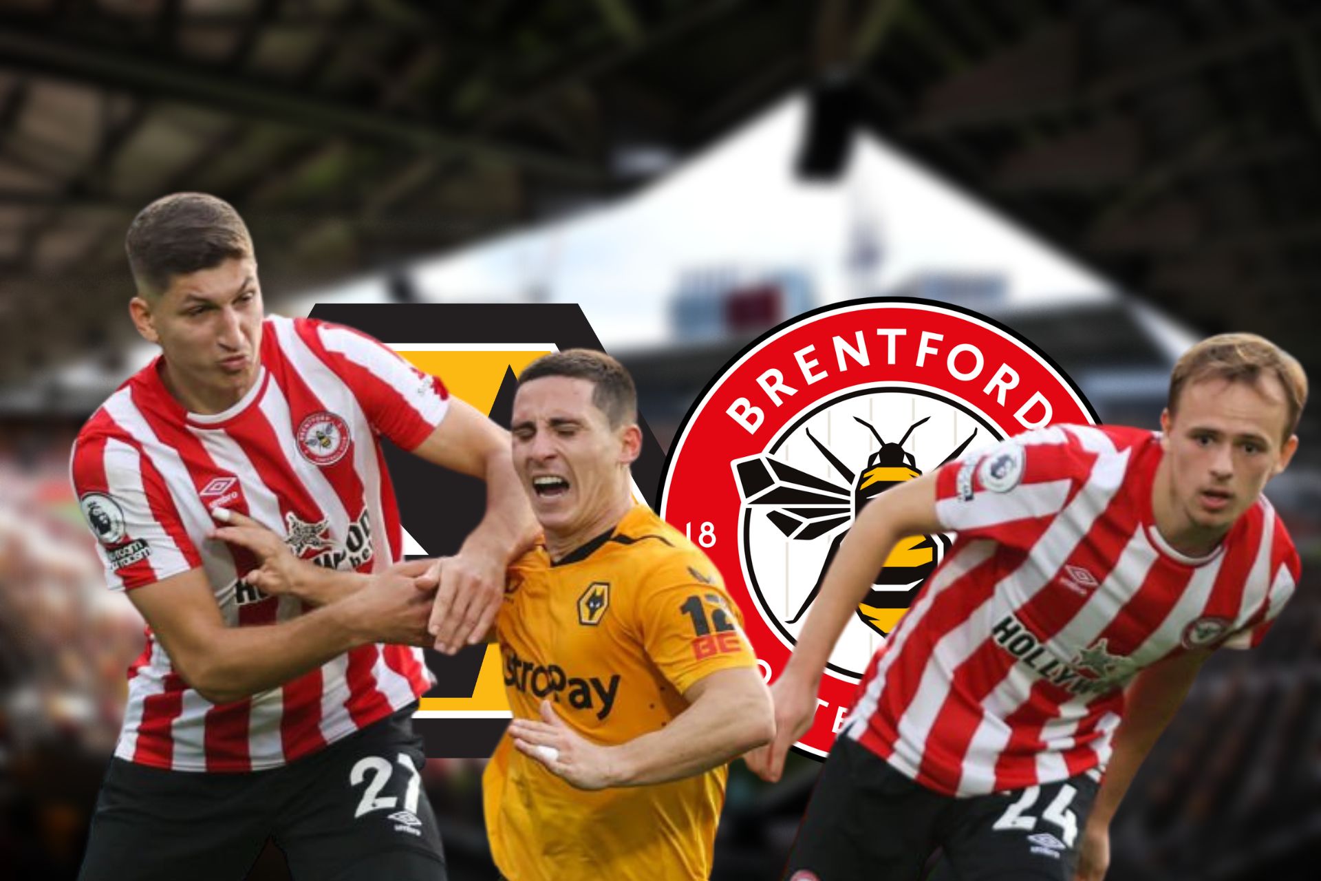 PLAYER RATINGS - BRENTFORD V WOLVES - Always Wolves