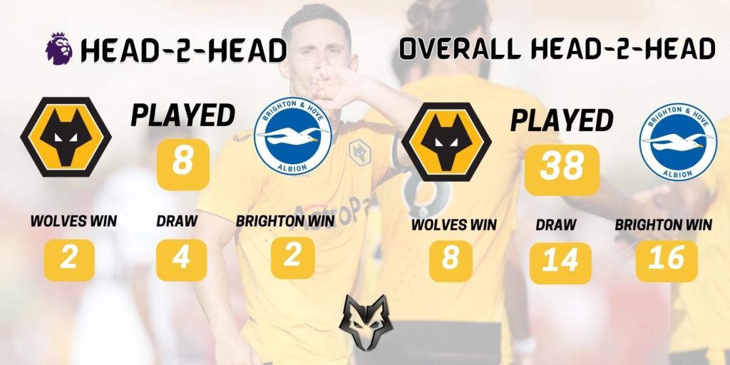 Wolves News - Preview Wolves Brighton