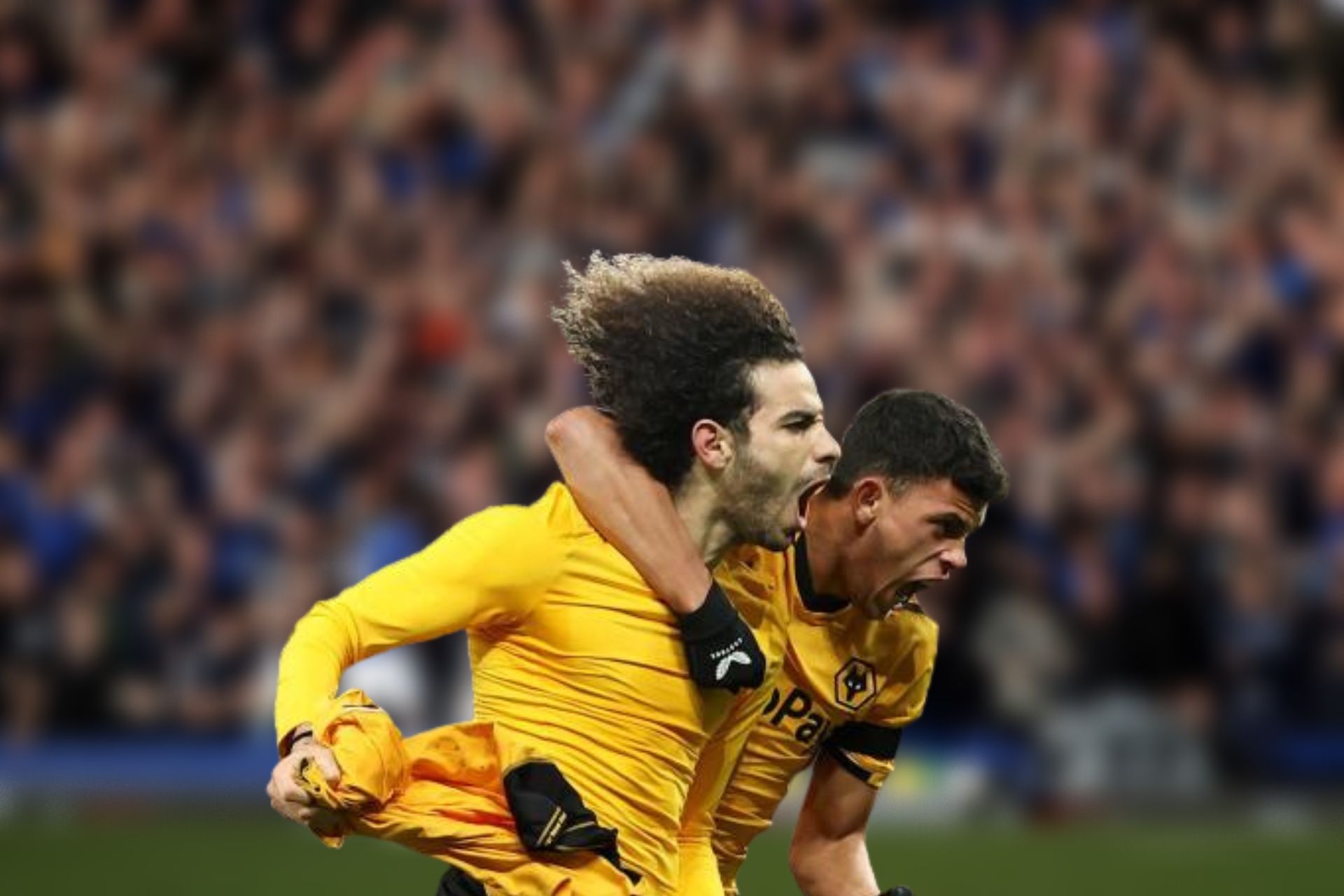 player-ratings-for-wolves-v-everton-always-wolves