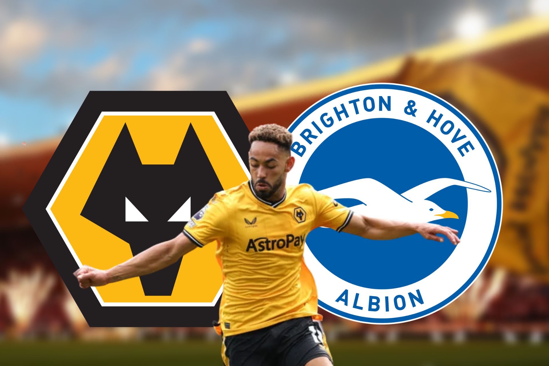 Player Ratings Wolves 1 Brighton 4 - Always Wolves