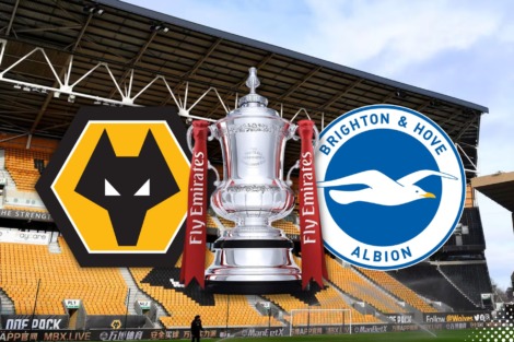 Wolves News - WOLVES VS BRIGHTON PREVIEW IN FA CUP