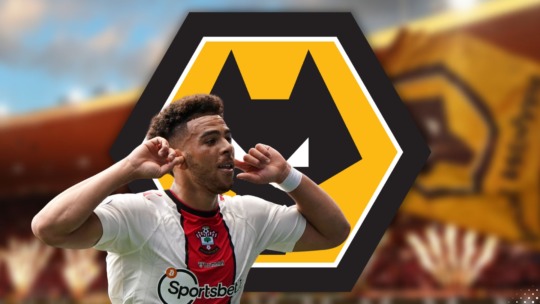 Wolves News WOLVES: FRONTRUNNERS FOR CHE ADAMS