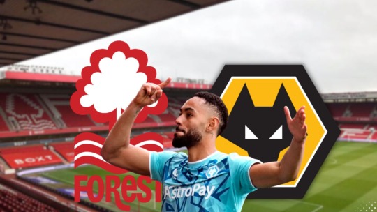 Wolves news: 6 THINGS WE LEARNT FOLLOWING WOLVES DRAW AGAINST FOREST