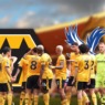 PLAYER RATINGS: WOLVES 1 CRYSTAL PALACE 3