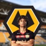 WOLVES SET TO SIGN PEDRO LIMA