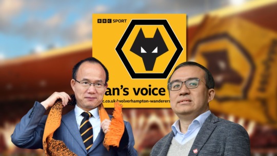 Wolves News ARE WOLVES IN MANAGED DECLINE?