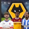 WOLVES LOANWATCH