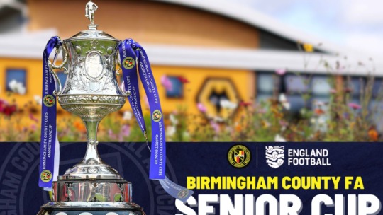 WOLVES U18S : BIRMINGHAM FA SENIOR CUP