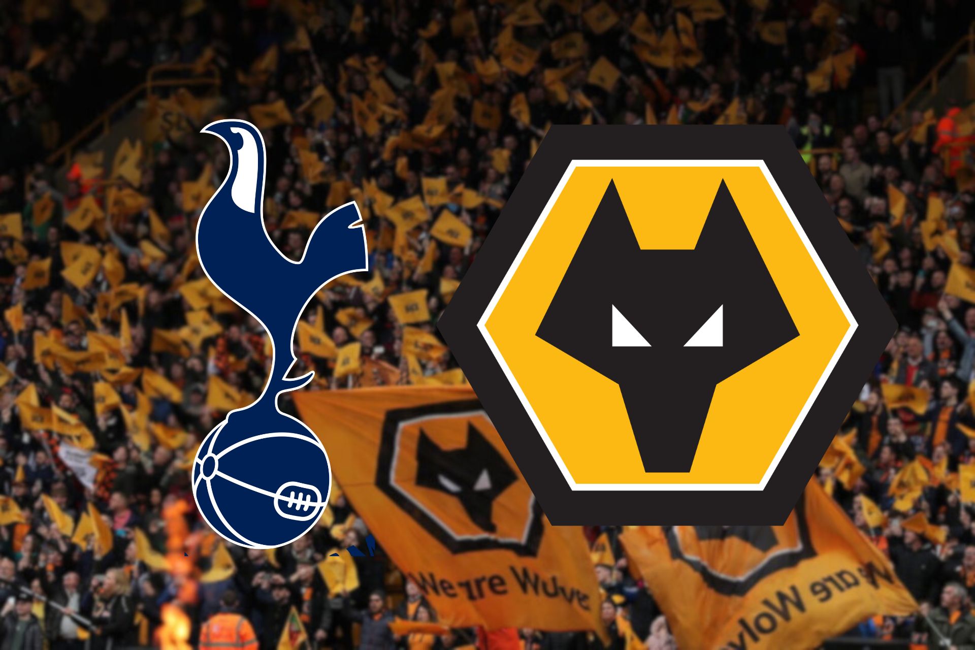 WOLVES FANS TALK: SPURS 2 WOLVES 2