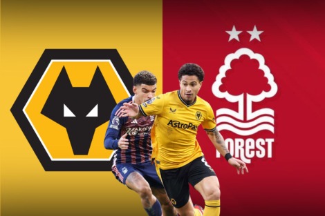 Counterattack Masterclass: Forest Punish Wolves