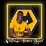 WELCOME TO WOLVES NASSER DJIGA