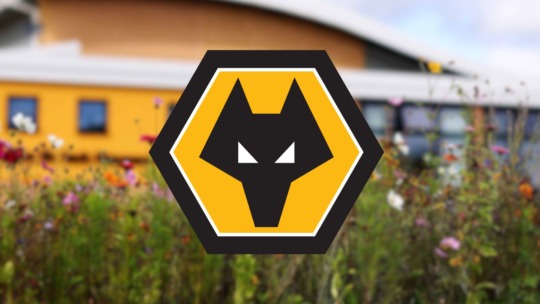 WOLVES ACADEMY: JANUARY TRANSFER ROUND UP