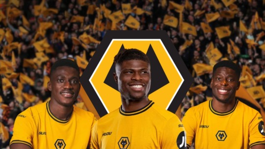 WOLVES FANS TALK: JANUARY TRANSFER WINDOW