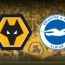 WOLVES FANS TALK: WOLVES 0 BRIGHTON 2