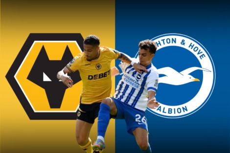 WOLVES V BRIGHTON: PERFORMANCE ANALYSED
