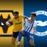 WOLVES V BRIGHTON: PERFORMANCE ANALYSED