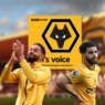 Key Departures, Key Decisions: Wolves Face Make-or-Break Transfer Window
