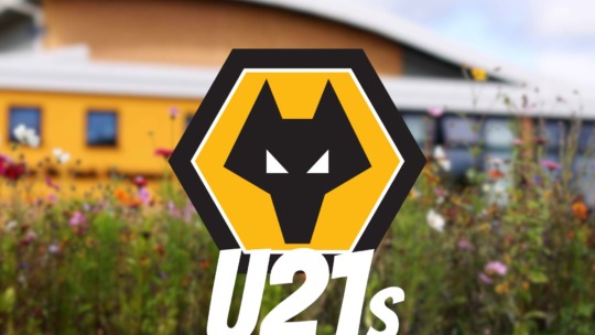 Wolves U21 Season Review: Hits, Misses, and Rising Stars