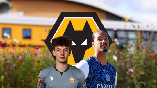 Wolves Duo Lonwijk and Nasta Head Out on Loan