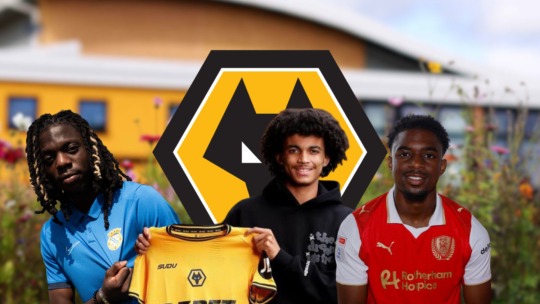 WOLVES ACADEMY TRANSFER UPDATE