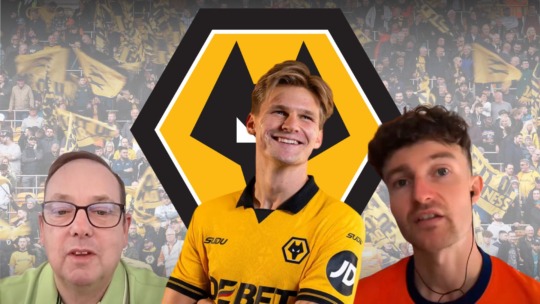What Wolves Fans Can Expect From David Møller Wolfe