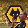 Wolves Transfer News: Vitor Pereira’s Contract, Summer Plans, and All the Latest from Molineux
