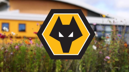 Wolves U21s Preseason Wrap-Up